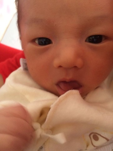 journal_insert_pic_239645479