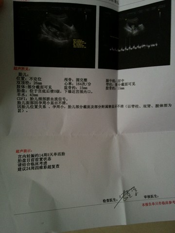 journal_insert_pic_240241285