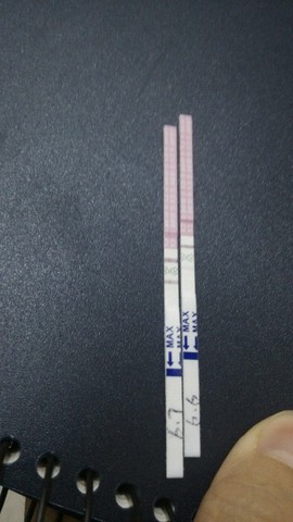 journal_insert_pic_240590762