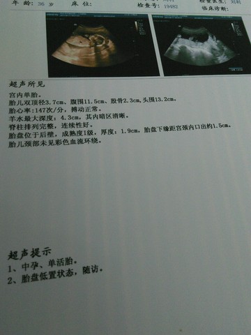 journal_insert_pic_242136246