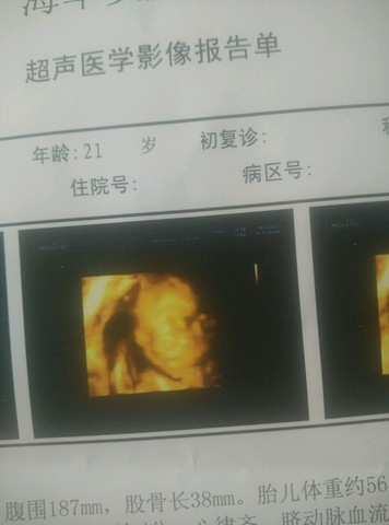 journal_insert_pic_244047009