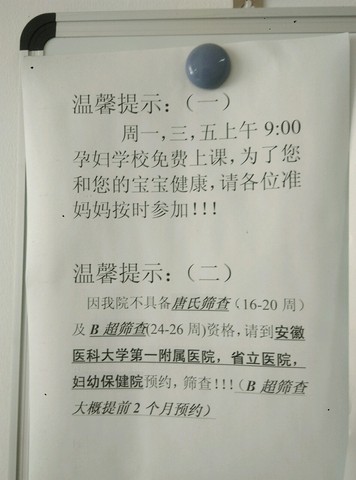 journal_insert_pic_244506775