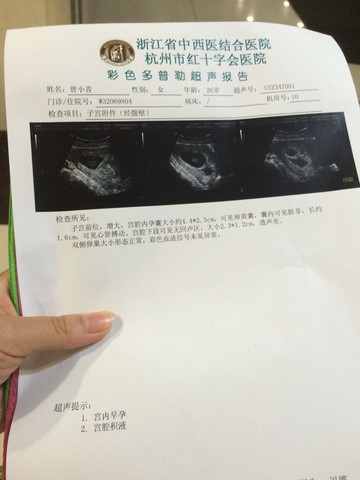 journal_insert_pic_244362723
