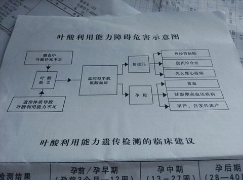 journal_insert_pic_244920204