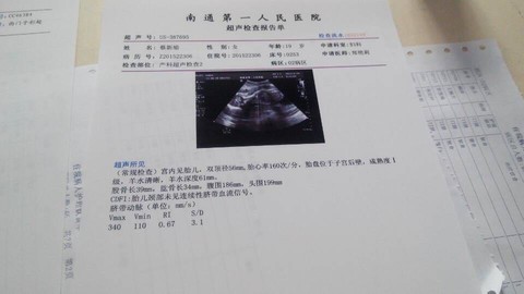 journal_insert_pic_246321944
