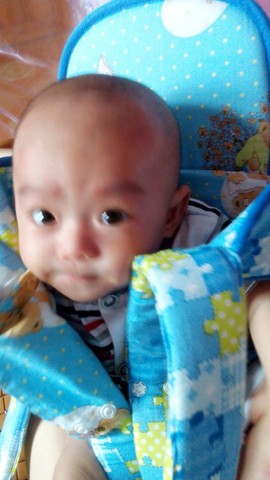 journal_insert_pic_246531334