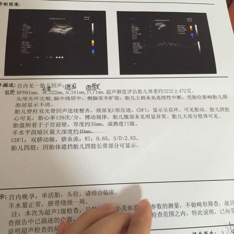 journal_insert_pic_247095902