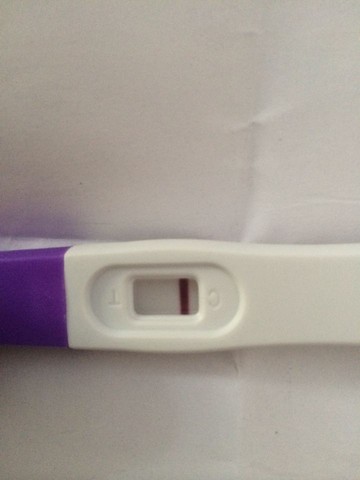 journal_insert_pic_247084406