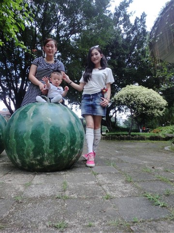 journal_insert_pic_247382337