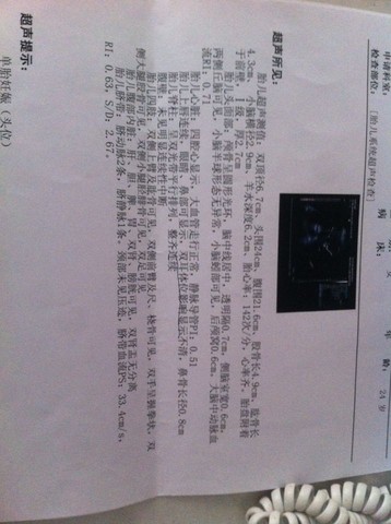 journal_insert_pic_247424104