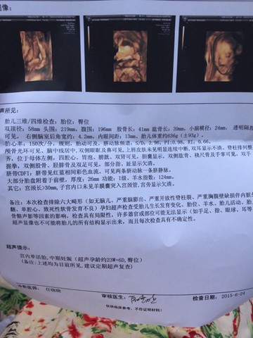 journal_insert_pic_249315365