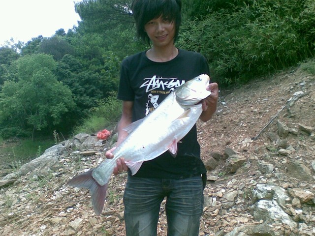 这些野生的最好不过了_在农村就这点好,野生的铁皮石斛,野生杨_宝宝树