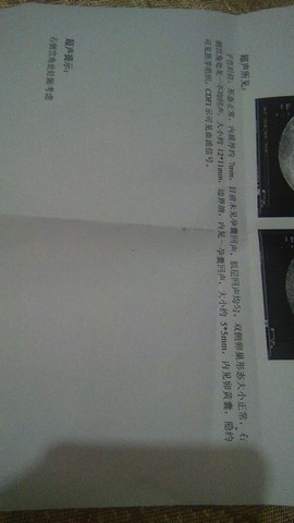 journal_insert_pic_249583087