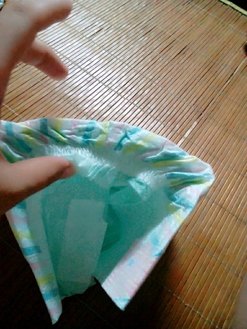 journal_insert_pic_249653832