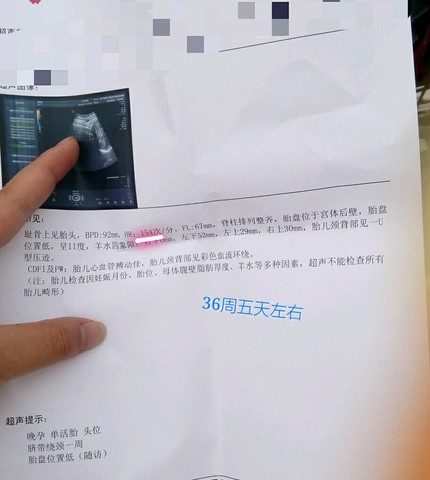 journal_insert_pic_249945519