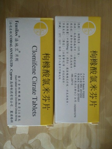 journal_insert_pic_250335933