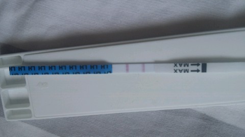 journal_insert_pic_250284152
