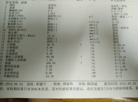 journal_insert_pic_250417290