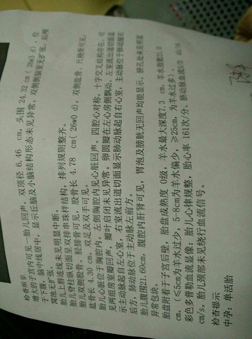 journal_insert_pic_250523790