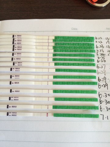 journal_insert_pic_251002120