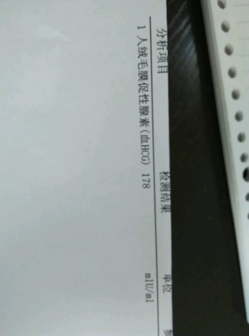 journal_insert_pic_251355375