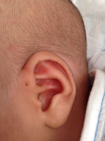 journal_insert_pic_252077004