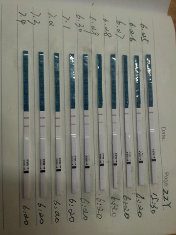 journal_insert_pic_252034438