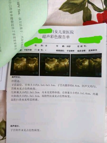 journal_insert_pic_253418045