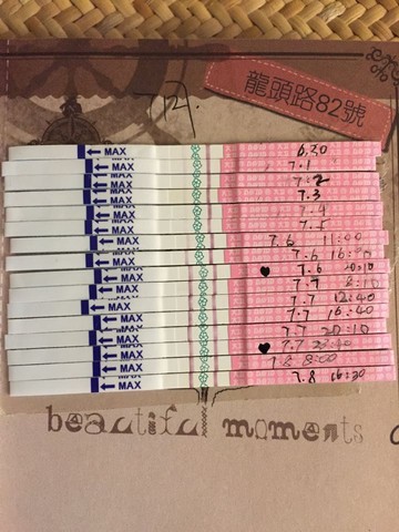journal_insert_pic_253865178