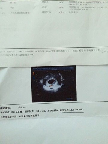 journal_insert_pic_255062819