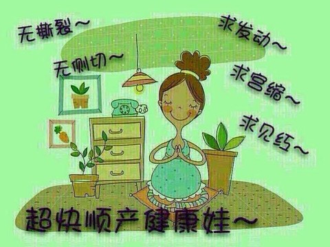 journal_insert_pic_255183507