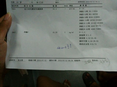 journal_insert_pic_255255966