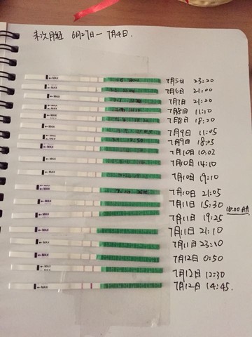 journal_insert_pic_255387050