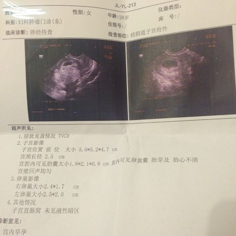 journal_insert_pic_255229185