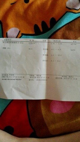 journal_insert_pic_255850044
