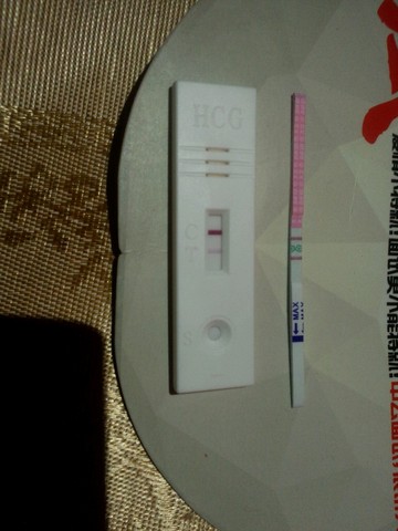 journal_insert_pic_255626159