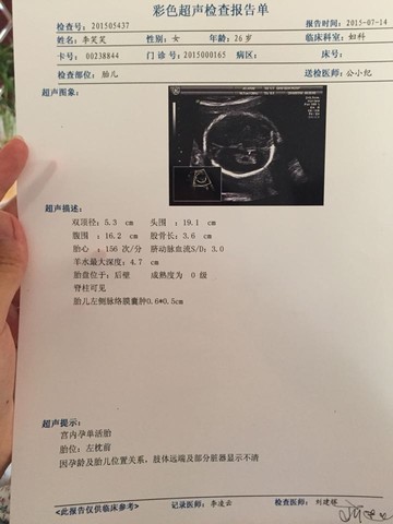 journal_insert_pic_256169031