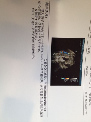 journal_insert_pic_257017458