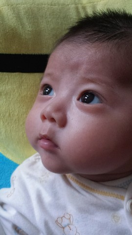 journal_insert_pic_257361583