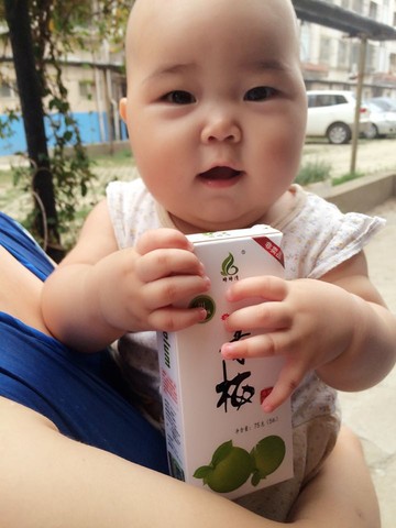 journal_insert_pic_258070930