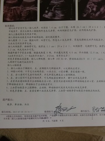 journal_insert_pic_258722252