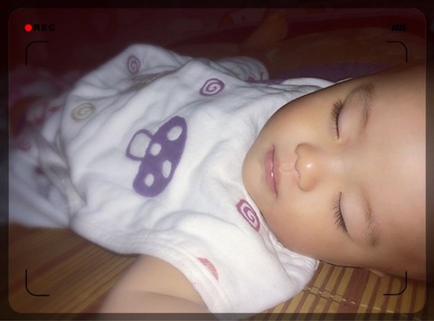 journal_insert_pic_258594500