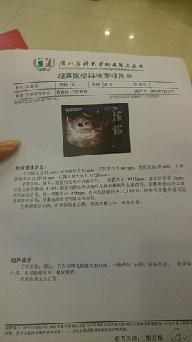 journal_insert_pic_259310014