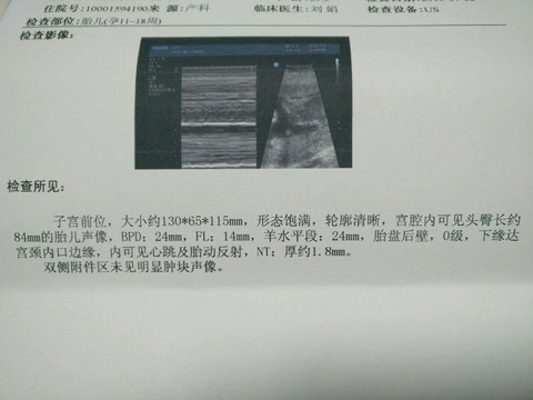 journal_insert_pic_259671360