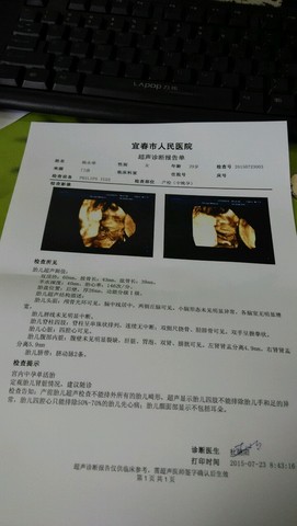 journal_insert_pic_260017538