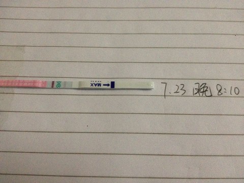 journal_insert_pic_260206198