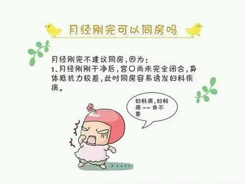 journal_insert_pic_260976104