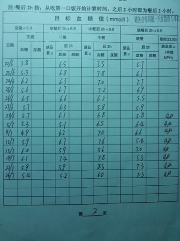 journal_insert_pic_261582282