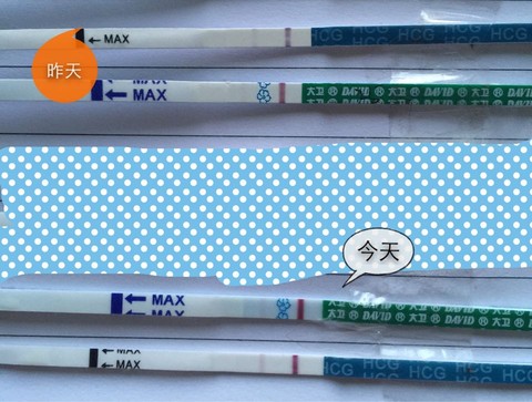 journal_insert_pic_261274802