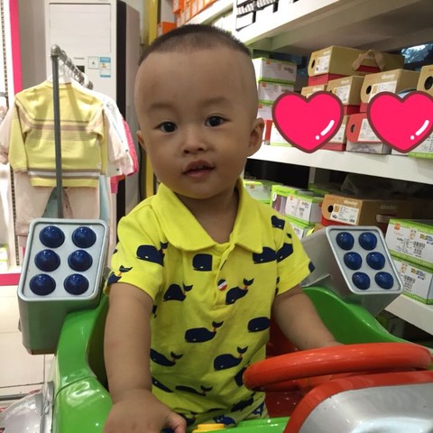 journal_insert_pic_262420452
